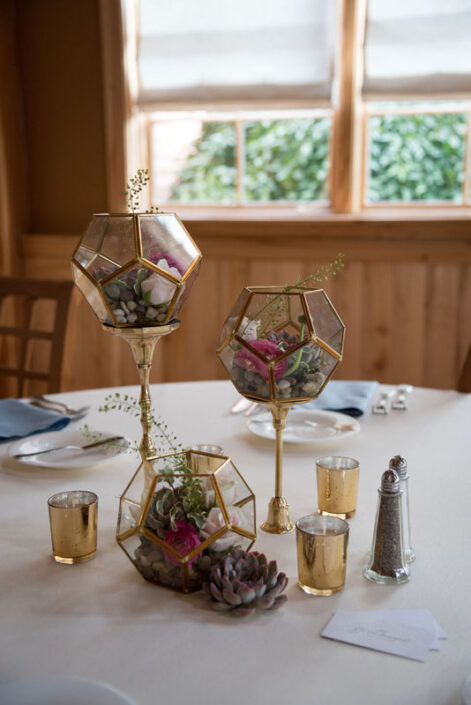 Three glass vases with succulents on a table.