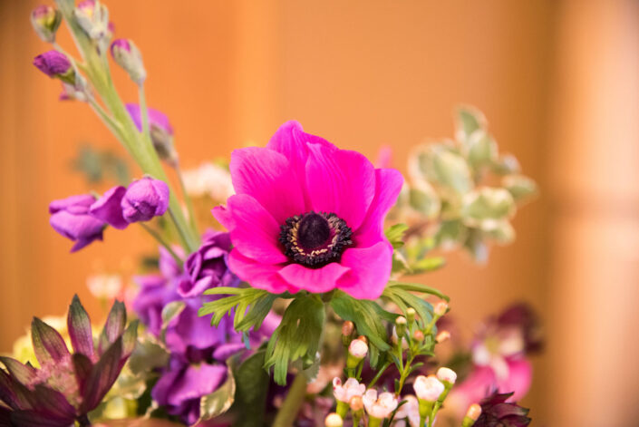 A purple flower in a vase.