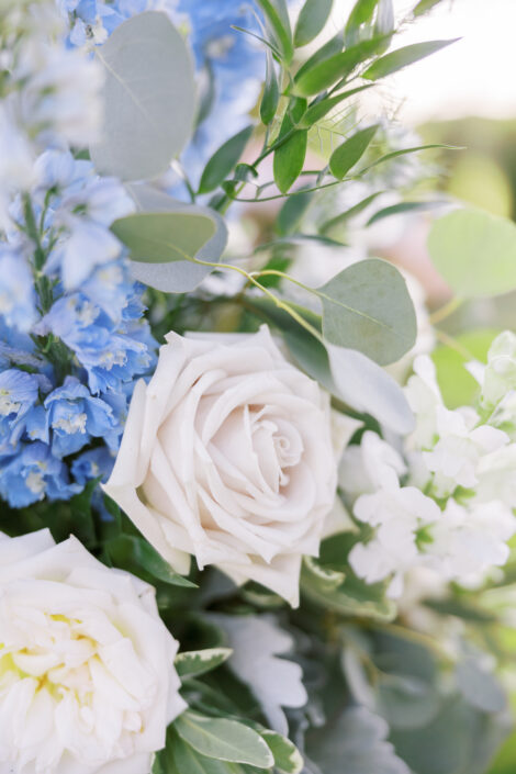 A close up of blue and white flowers in a vase.